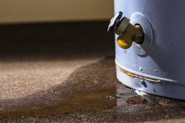 Best Carpet water damage restoration  in Nahunta, GA