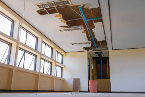 Best Commercial water damage restoration  in Nahunta, GA