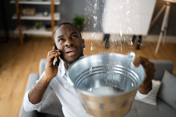 Best Water damage cleanup near me  in Nahunta, GA