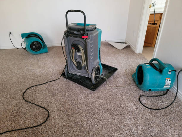 Best Carpet water damage restoration  in Nahunta, GA