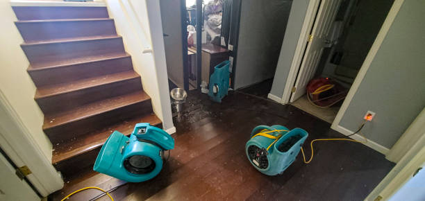 Best Water damage repair service  in Nahunta, GA