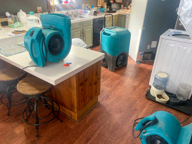 Best Commercial water damage restoration  in Nahunta, GA