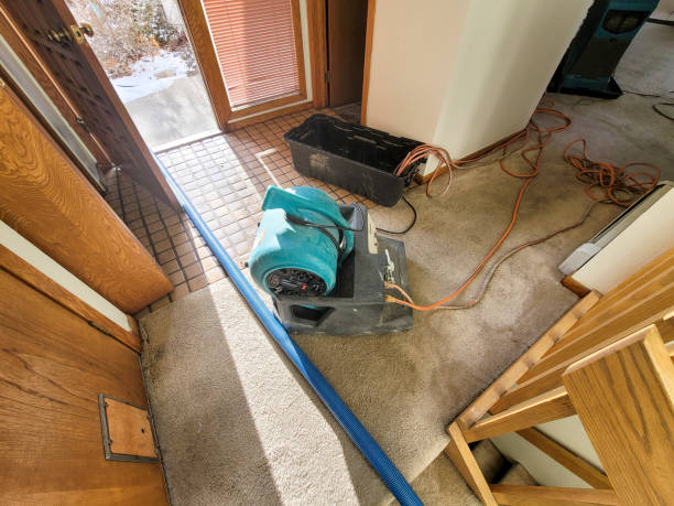 Best 24-hour water damage restoration  in Nahunta, GA