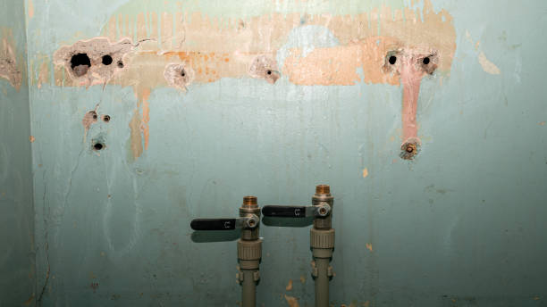 Best Water damage restoration near me  in Nahunta, GA