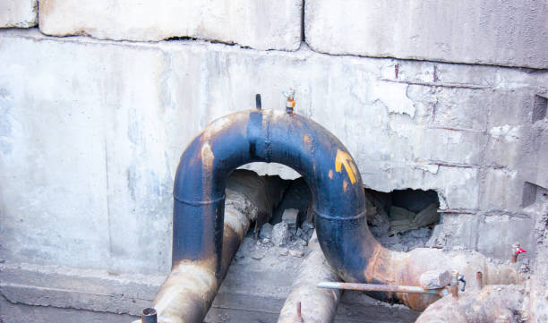Best Water damage contractors near me  in Nahunta, GA