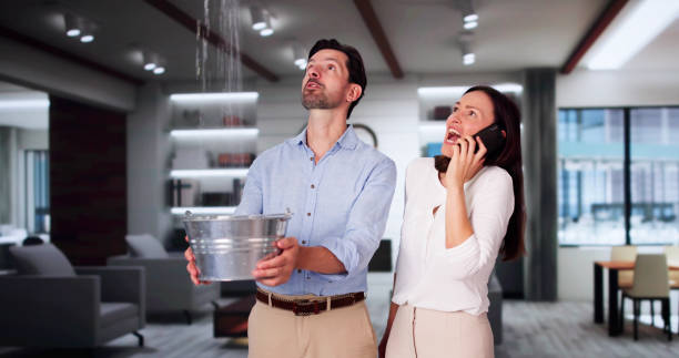 Best Professional water damage repair  in Nahunta, GA