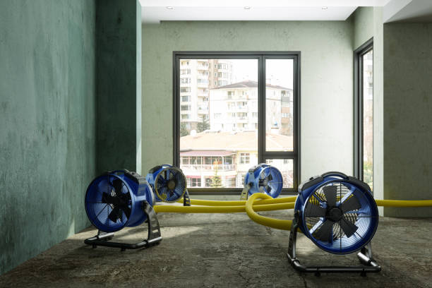 Best Local water damage restoration  in Nahunta, GA